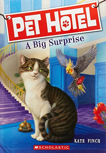 Stock image for A Big Surprise for sale by WorldofBooks