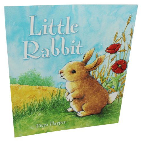 Stock image for Little Rabbit for sale by AwesomeBooks
