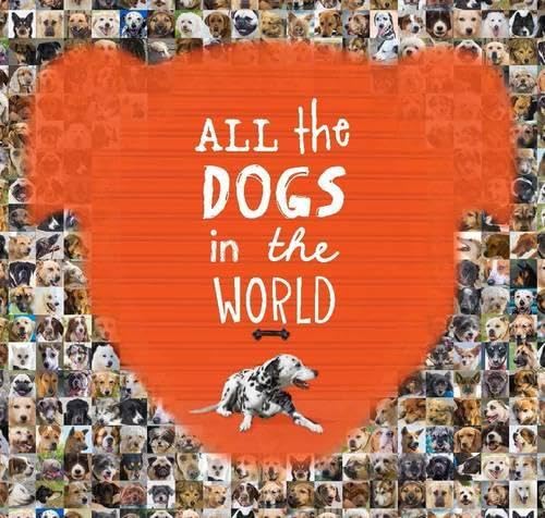 Imagen de archivo de All the Dogs in the World a la venta por Better World Books