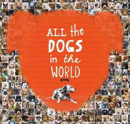 9781743790496: All the Dogs in the World