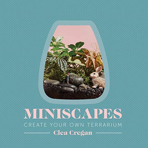 9781743791400: Miniscapes: Create Your Own Terrarium