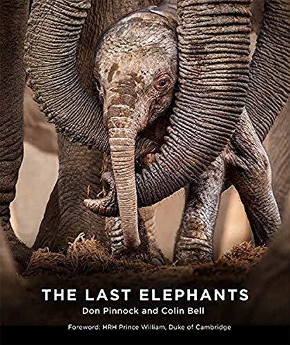 Stock image for The Last Elephants for sale by Postscript Books