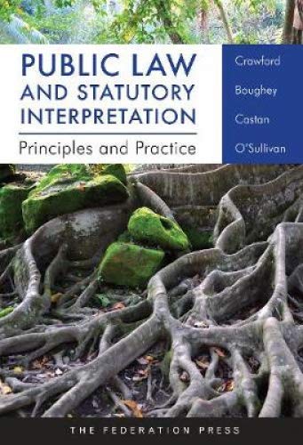9781760021528: Public Law and Statutory Interpretation: Principles and Practice