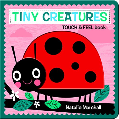 9781760063887: Tiny Creatures - Touch and Feel