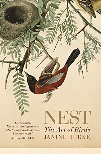 Stock image for Nest: The art of birds for sale by SecondSale