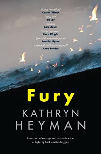Imagen de archivo de Fury a la venta por WorldofBooks
