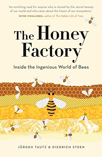 Stock image for The Honey Factory: Inside the Ingenious World of Bees for sale by Book Deals