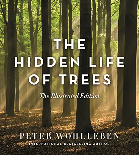 9781760640767: The Hidden Life of Trees (Illustrated Edition)