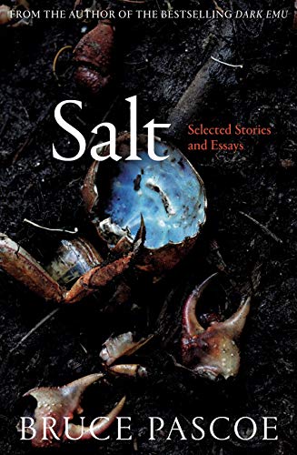 Beispielbild fr Salt: Selected Stories and Essays zum Verkauf von WorldofBooks
