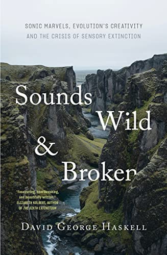 Imagen de archivo de Sounds Wild & Broken a la venta por Hill End Books