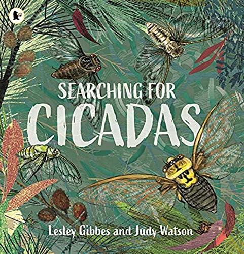 9781760653965: Searching for Cicadas (Nature Storybooks)