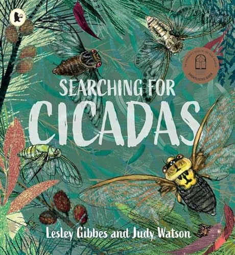 9781760655488: Searching for Cicadas (Nature Storybooks)