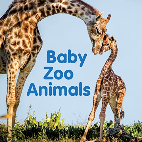 Beispielbild fr Baby Zoo Animals zum Verkauf von ThriftBooks-Dallas