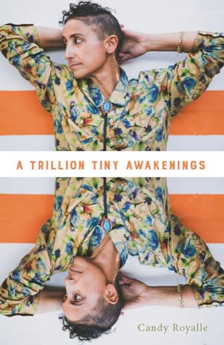 Stock image for A trillion tiny awakenings for sale by Wordlife books