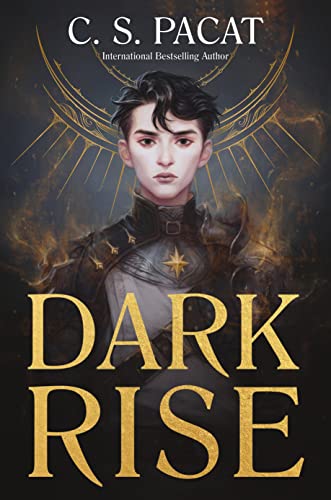 Beispielbild fr Dark Rise: Dark Rise 1 zum Verkauf von WorldofBooks