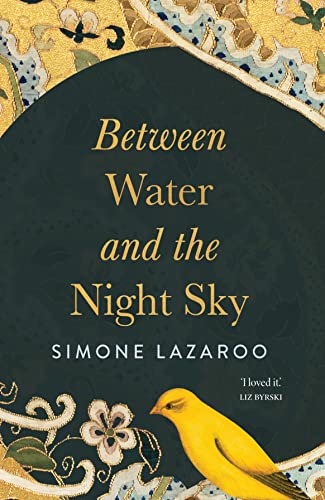 Imagen de archivo de Between Water and the Night Sky: Simone Lazaroo a la venta por Revaluation Books