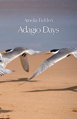Beispielbild fr Adagio Days zum Verkauf von GreatBookPrices