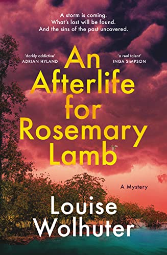 Imagen de archivo de An Afterlife for Rosemary Lamb a la venta por GF Books, Inc.