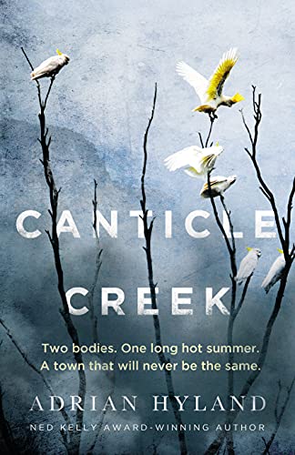 Stock image for Canticle Creek for sale by WorldofBooks