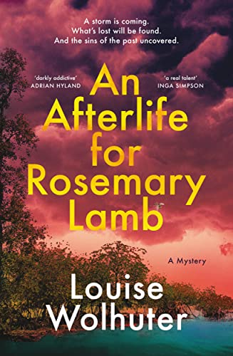 Imagen de archivo de An Afterlife for Rosemary Lamb a la venta por WorldofBooks