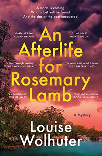 Stock image for An Afterlife for Rosemary Lamb for sale by AwesomeBooks