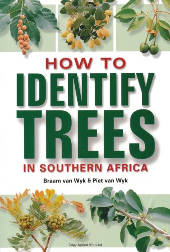 Beispielbild fr How to Identify Trees in Southern Africa zum Verkauf von Hill End Books
