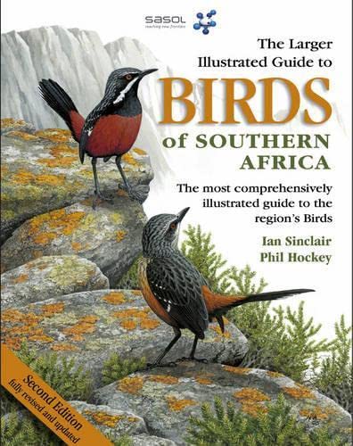 Stock image for Larger Illustrated Guide to Birds of Southern Africa for sale by HPB-Red