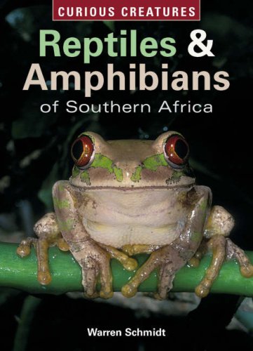 Stock image for Reptiles and Amphibians of Southern Africa (Curious Creatures) for sale by Irish Booksellers