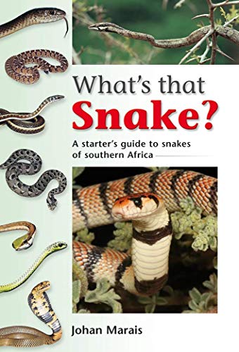 Stock image for What's that Snake? for sale by WorldofBooks