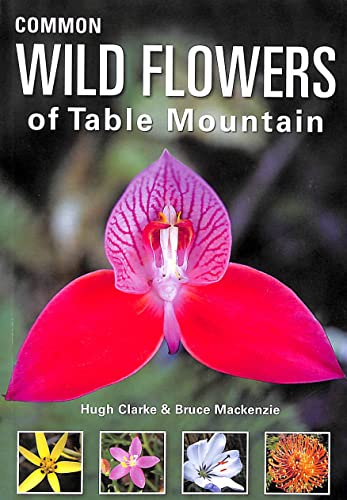 Stock image for Common Wild Flowers of Table Mountain for sale by HPB-Ruby