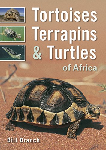 Stock image for Tortoises, Terrapins & Turtles of Africa for sale by 3rd St. Books