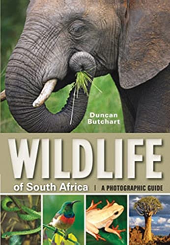 9781770076327: Wildlife of South Africa: A Photographic Guide