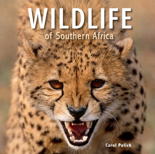 Stock image for Wildlife of Southern Africa for sale by Wonder Book