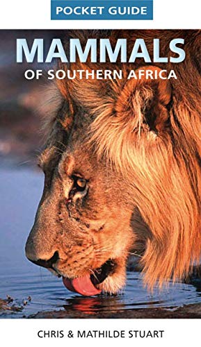 9781770078611: Mammals of Southern Africa Pocket Guide