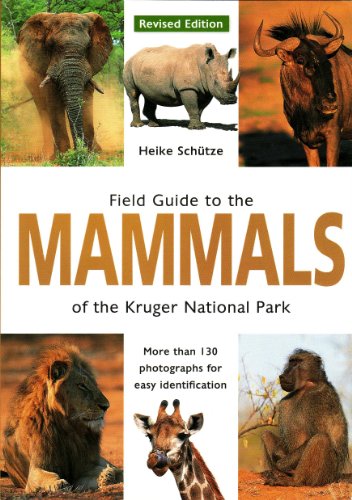 9781770079007: Field guide to the mammals of the Kruger National Park