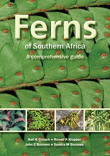 9781770079106: Ferns of Southern Africa: A Comprehensive Guide