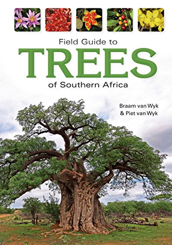 Stock image for Field Guide to Trees of Southern Africa (Field Guide To. (Struik Publishers)) for sale by Monster Bookshop