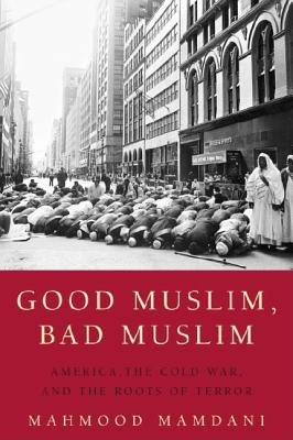 9781770091566: Good Muslim, Bad Muslim
