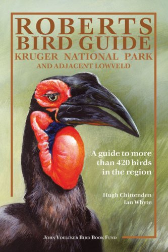 Stock image for Roberts Bird Guide: Kruger National Park and Adjacent Lowveld: A Guide to More than 420 Birds in the Region for sale by Dream Books Co.