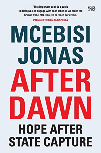 9781770106758: After Dawn: Hope After State Capture