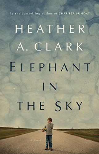 9781770410831: Elephant in the Sky: A Novel