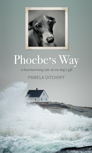 Stock image for Phoebe's Way A Heartwarming Tale of One Dog's Gift for sale by PBShop.store US
