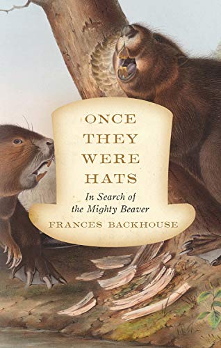 Beispielbild fr Once They Were Hats : In Search of the Mighty Beaver zum Verkauf von Better World Books