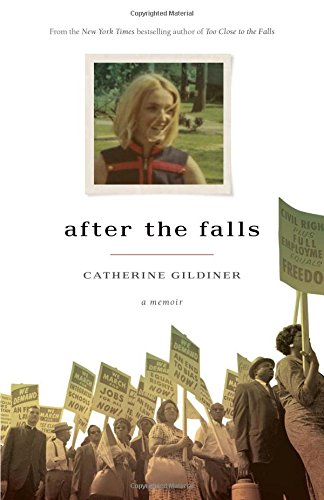 Imagen de archivo de After the Falls: A Memoir a la venta por Zoom Books Company