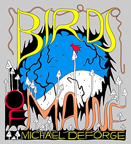 Beispielbild fr Birds of Maine zum Verkauf von SecondSale