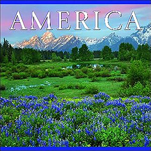 Stock image for America for sale by Goodwill of Colorado