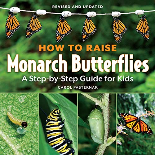 Stock image for How to Raise Monarch Butterflies: A Step-by-Step Guide for Kids (How It Works) for sale by HPB-Diamond
