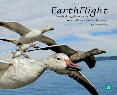 EarthFlight: Breathtaking Photographs from a Bird's-Eye View of the World