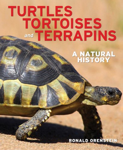 9781770851191: Turtles, Tortoises and Terrapins: A Natural History