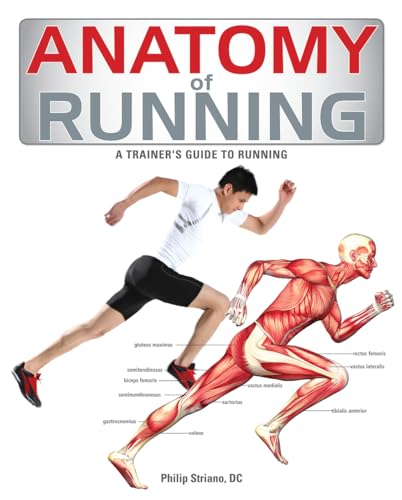 Stock image for Anatomy of Running: A Trainer's Guide to Running for sale by HPB-Ruby